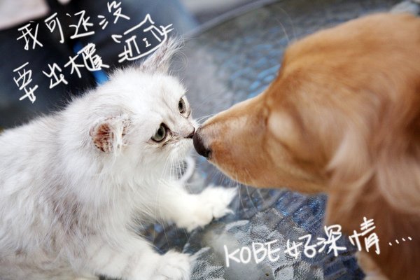 照片 171.jpg
