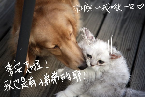 照片 198.jpg
