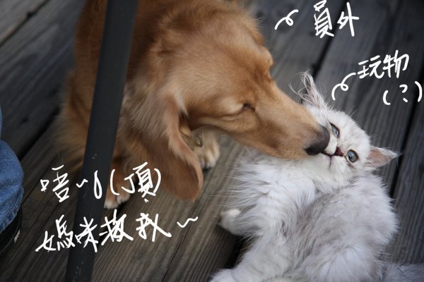 照片 199.jpg