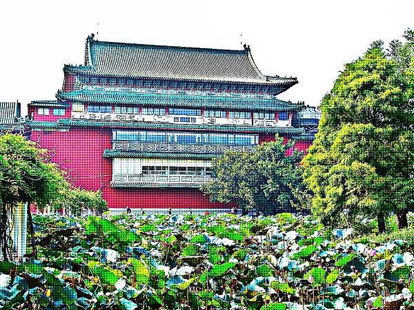 台北植物園