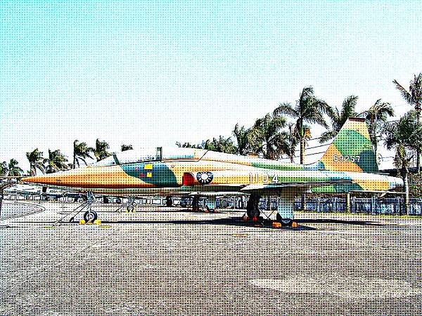 F-5B 自由鬥士式戰鬥教練機