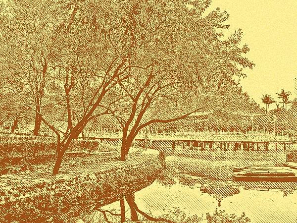 BeFunky_LineArtopia_4540