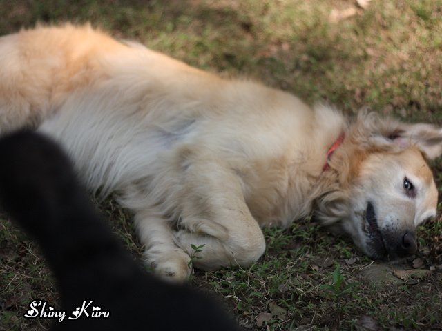 2011031329.jpg