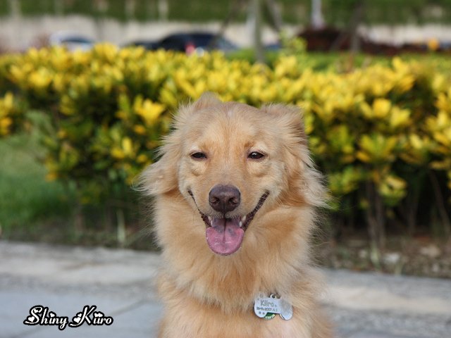 2011070304.jpg