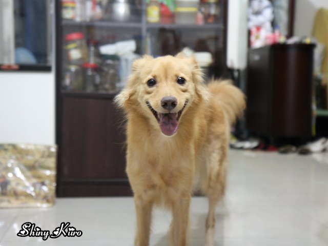 2011083006.jpg