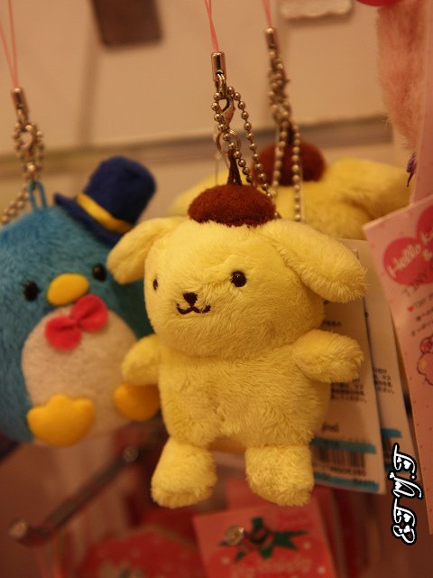 2011121105.jpg