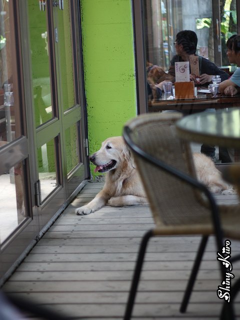 2011031308.jpg