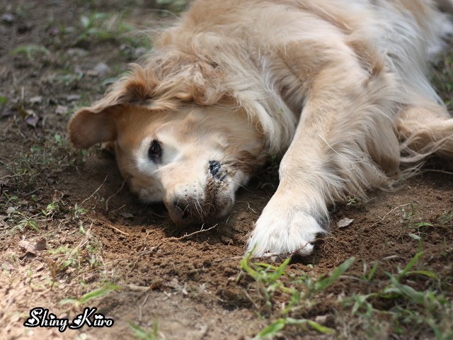 2011031328.jpg