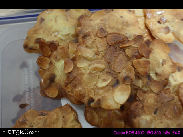 N02.jpg