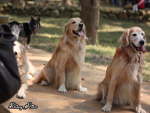 2011031322.jpg
