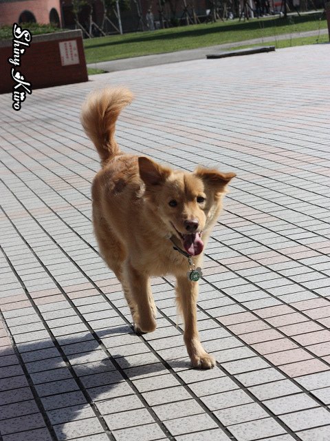 022618.jpg