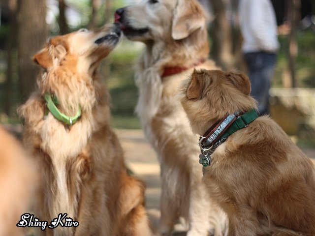2011031319.jpg