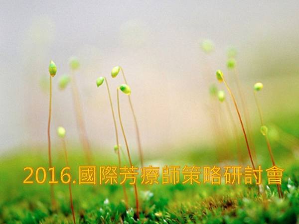 2016芳療師策略研討會