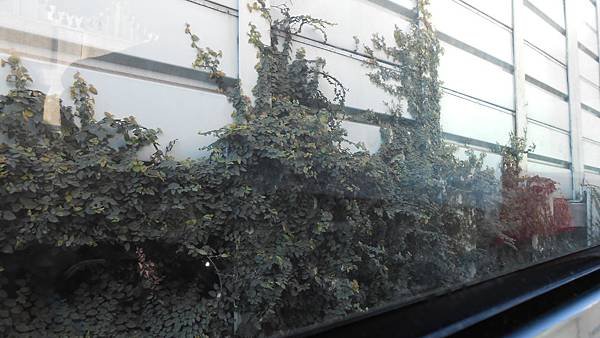 DSCN6527.JPG
