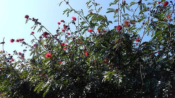 DSCN6623.JPG