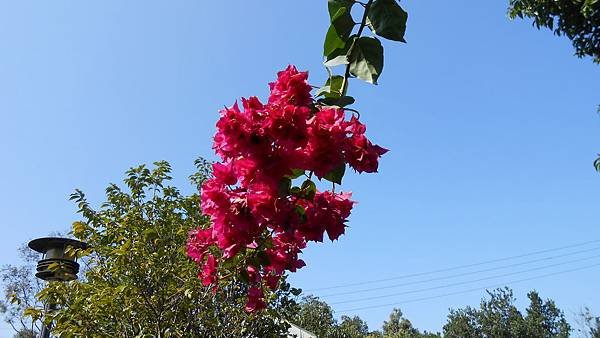 DSCN6633.JPG