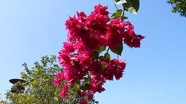 DSCN6634.JPG