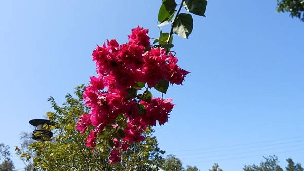 DSCN6635.JPG