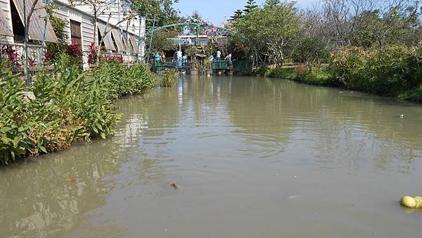 DSCN6667.JPG