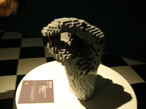DSCN6621.JPG