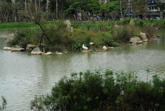 20120212_145 松山菸廠 恐龍夢公園