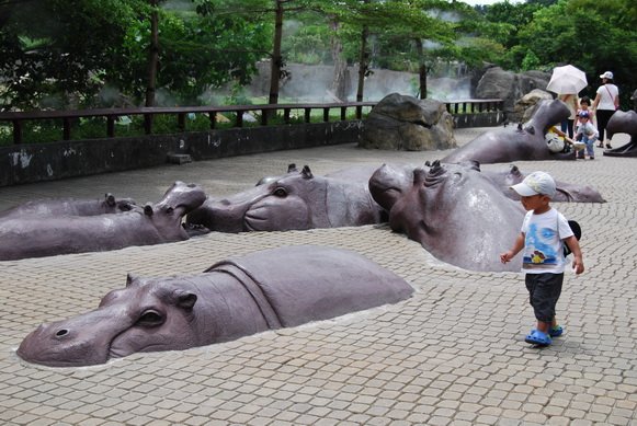 20100819_069 木柵動物園.JPG
