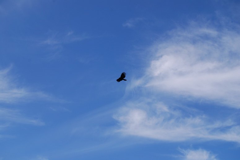 20091214_427 清境農場.JPG