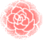 118937017