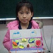 IMGP4398.JPG