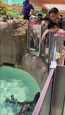 &lt;2024加州聖地牙哥&gt;海洋世界Sea World(Day2