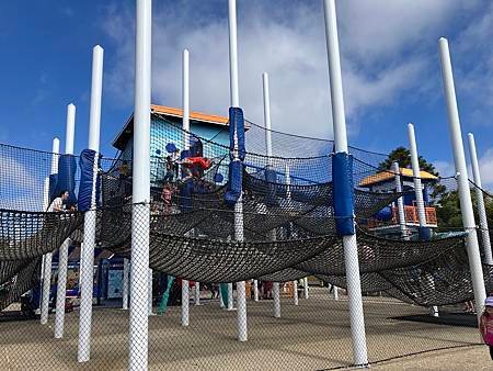 &lt;2024加州聖地牙哥&gt;海洋世界Sea World(Day2
