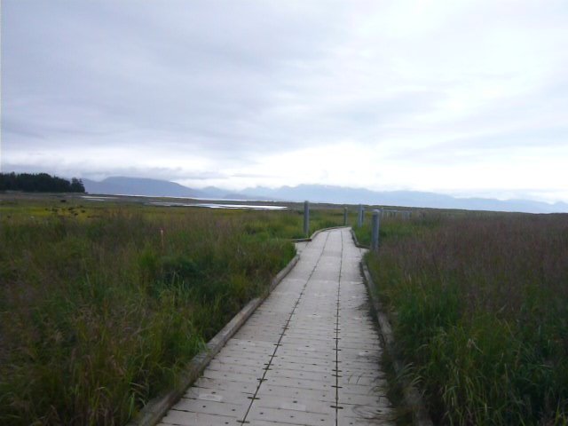 P1130334.JPG