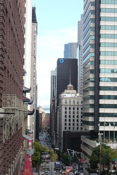 P1090153.JPG