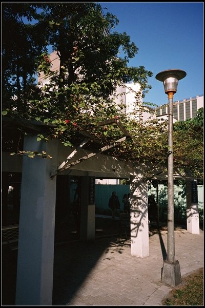 dsd.jpg