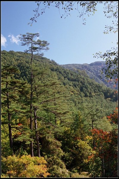 r001-002.jpg