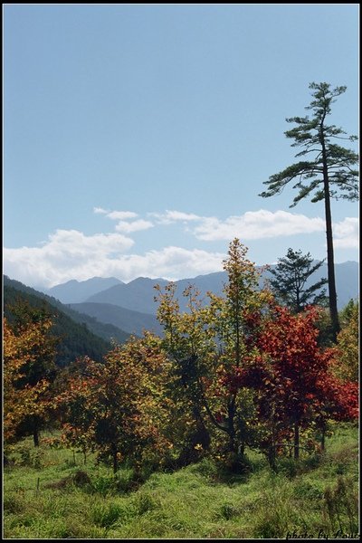 r001-017.jpg