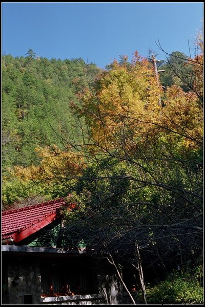 r001-018.jpg
