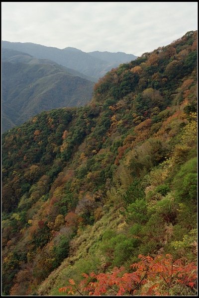 R002-007.jpg