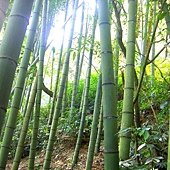 照片 129.jpg
