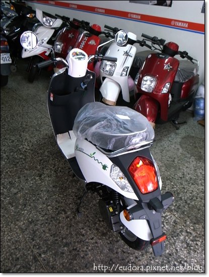 R1043228.JPG