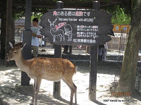 2007.8.8 - 2007.8.15 大阪之旅 059