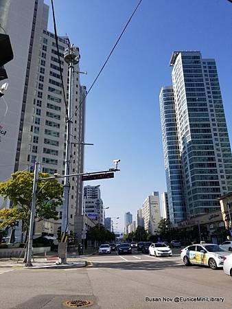 BUSAN NOV_DAY3 (245)