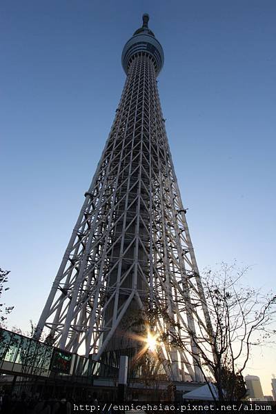 IMG_0054.JPG