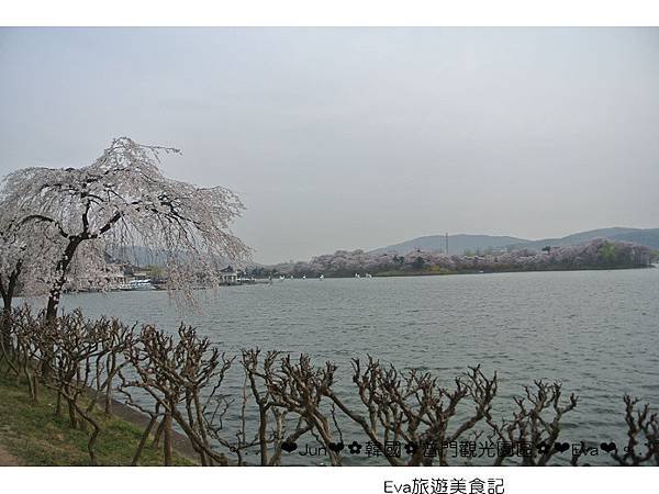 P08.jpg