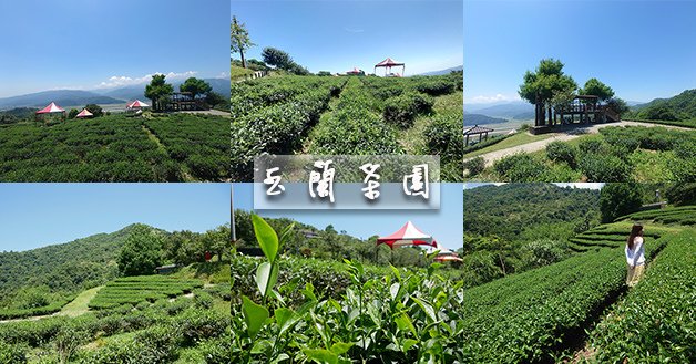 玉蘭茶園-01.jpg