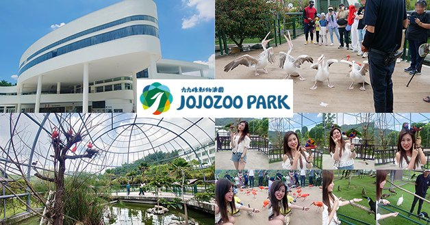 JOJOZOO PARK九九峰動物樂園-01.jpg