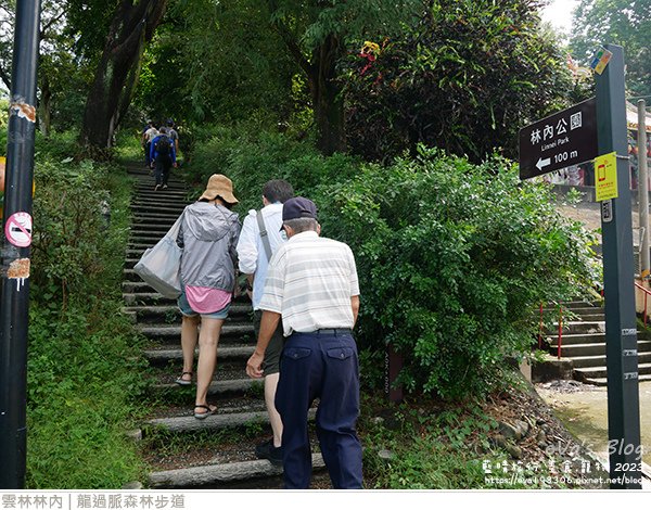 龍過脈森林步道-11.jpg