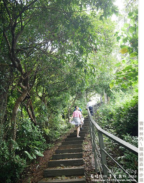 龍過脈森林步道-19.jpg