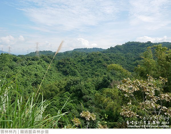 龍過脈森林步道-29.jpg