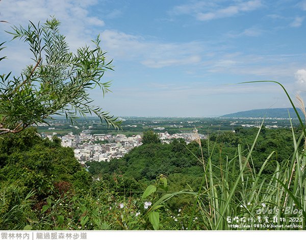 龍過脈森林步道-30.jpg